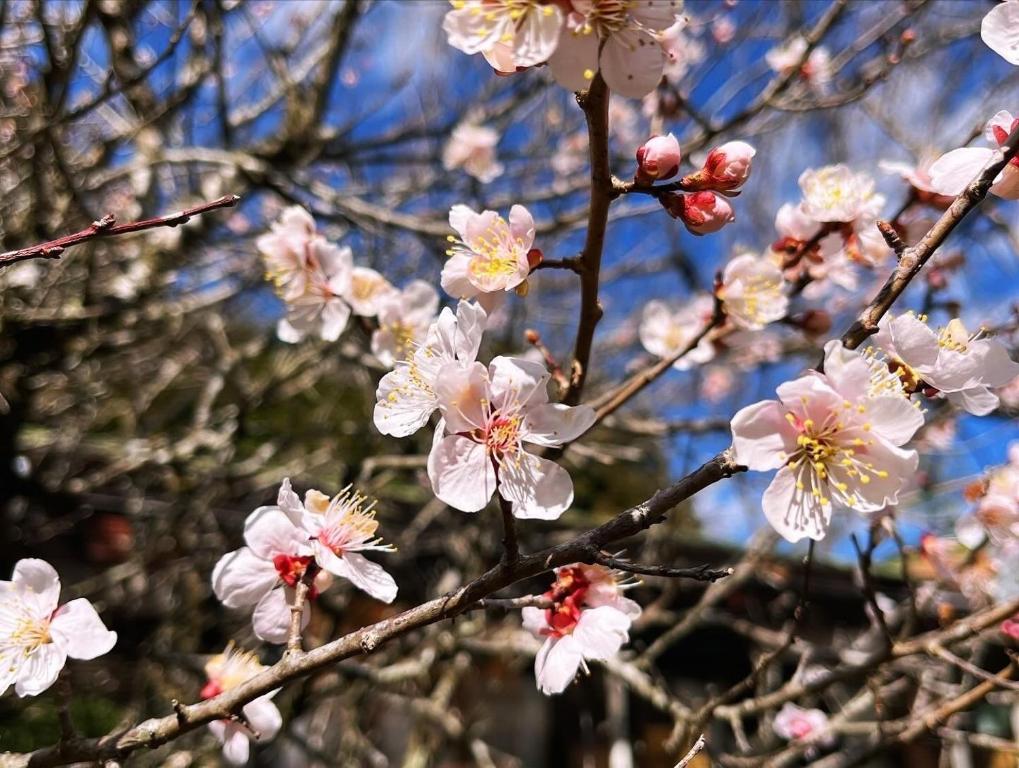 ทัศนียภาพภายนอกโรงแรม