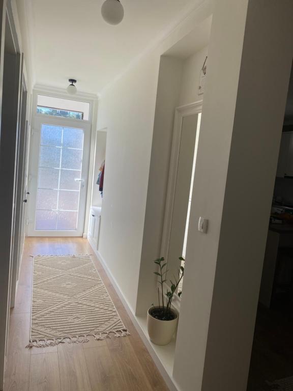 Virtuo Apartment, Budva