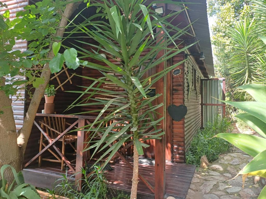 Owl's Den 1, Oudtshoorn