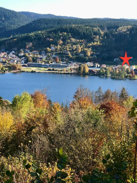 GERARDMER Rés Aubépine 100m du lac Appt 4 personnes - 1