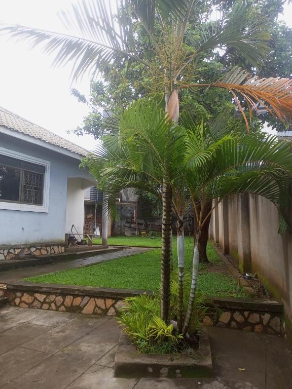 Sour sop Guest House, Kampala