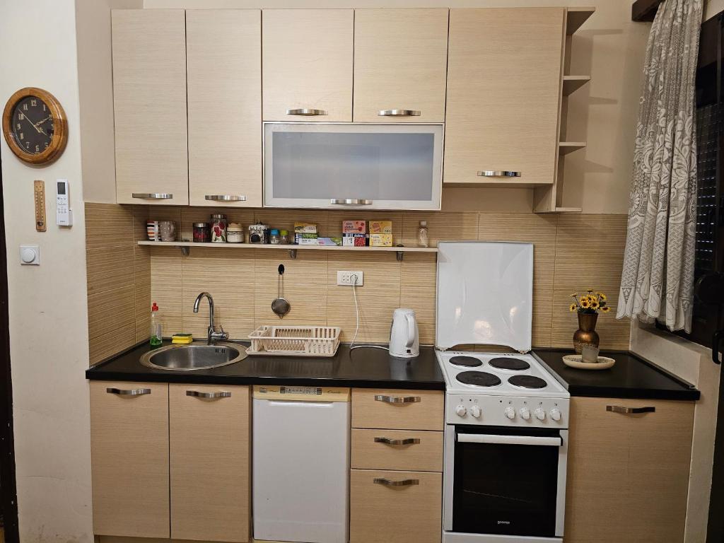 Apartment Heart of Podgorica - 4