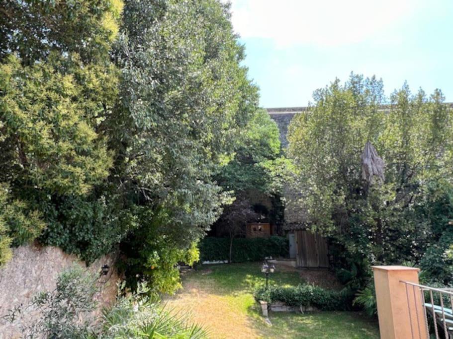 Gardens of Roman wall N10 - 3