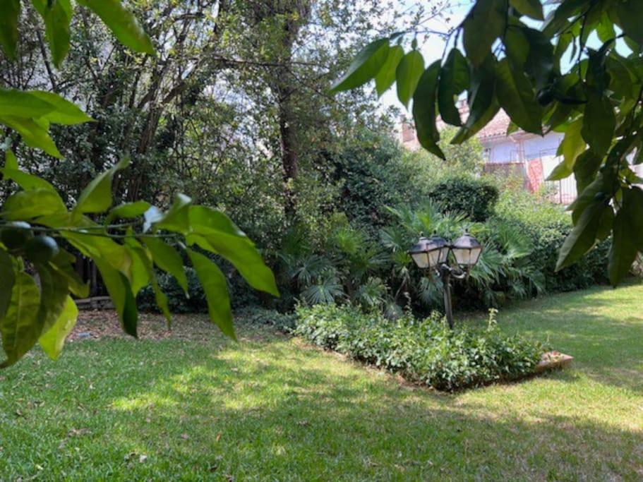 Gardens of Roman wall N10 - 2