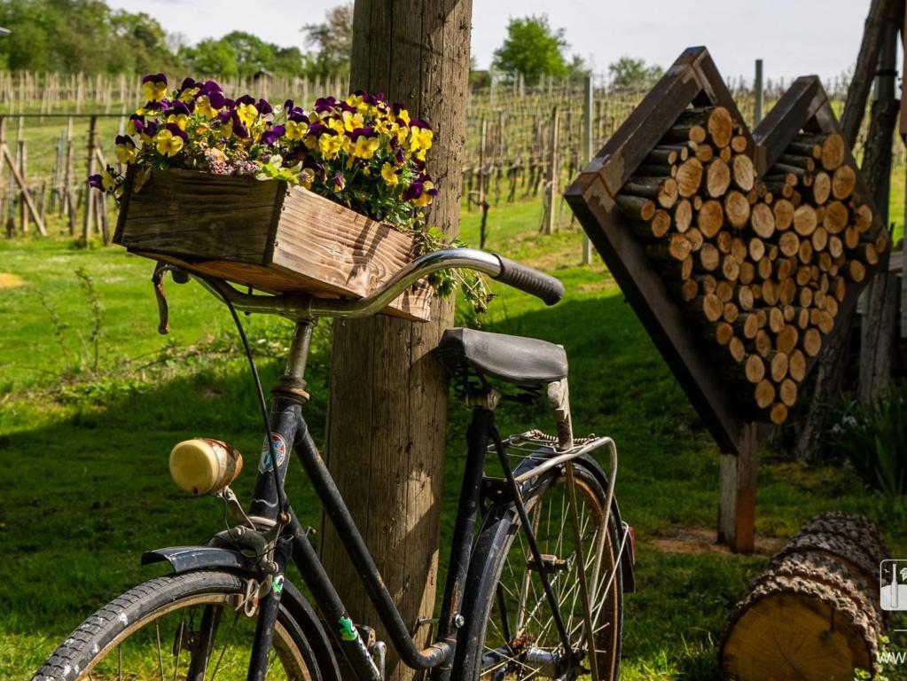 Gozdarjeva hiška M&K, Dobrovnik