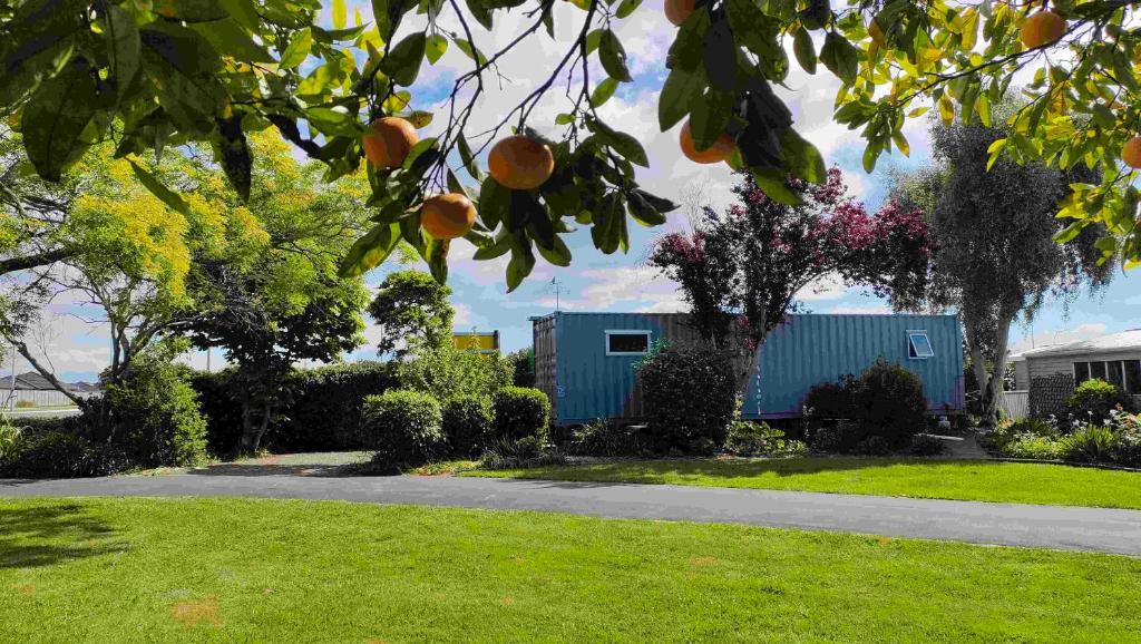 The container stay, Appleby