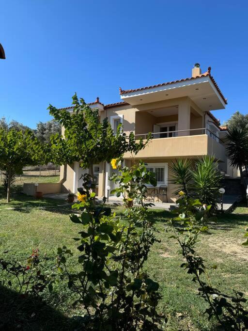 Relaxing home, Taxiárkhai