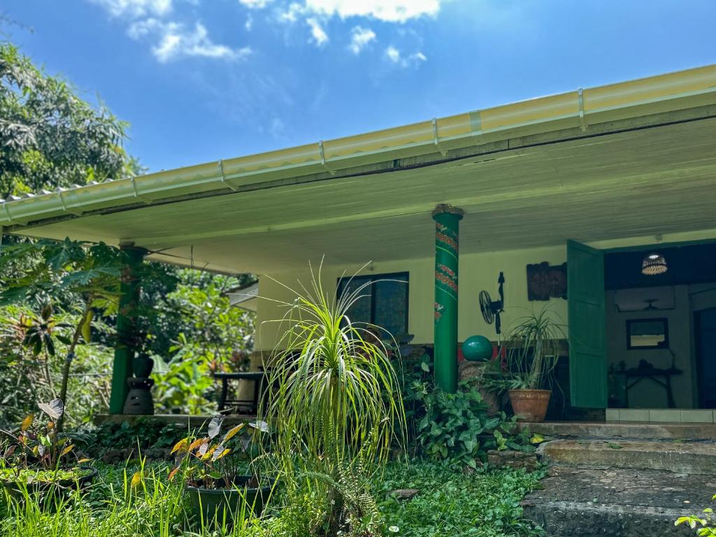 Exterior view