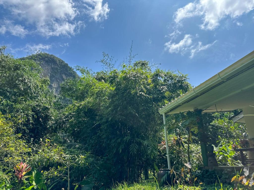 Surrounding environment
