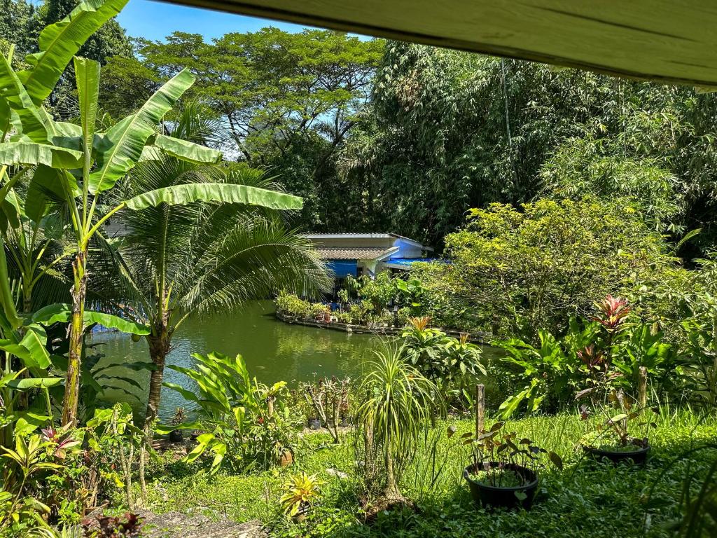 Surrounding environment