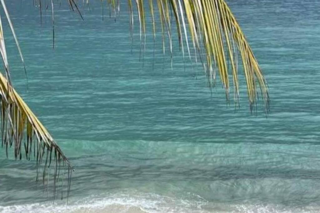 Anse à l'Ane - Spacieux T2 - Vue d'exception, Les Trois-Îlets