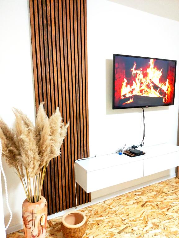 Apartman Duric, Tuzla