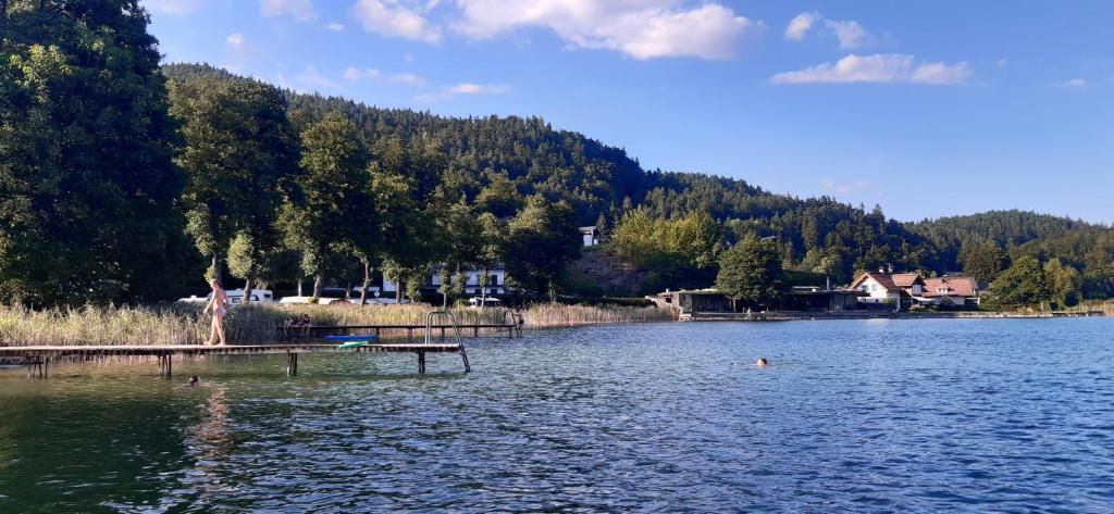 Lakesideview Keutschach am See - 2