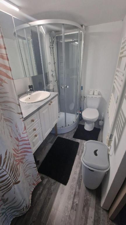 Studio Marmotte, quartier marais, terrasse en rez de jardin, matelas confort - 4