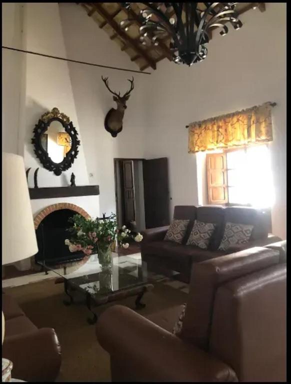 Luxurious Villa in Córdoba + Pool - 4