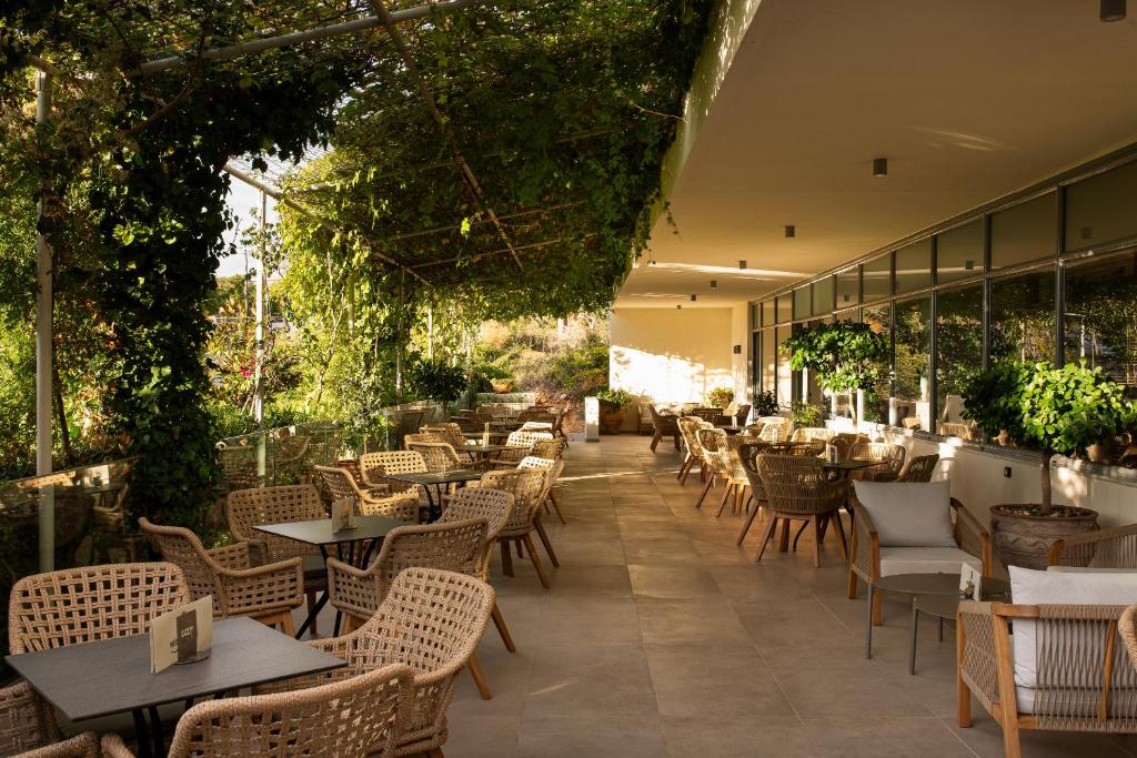 Mediterranee — Restaurant & bars in Lassi, Ionian Islands