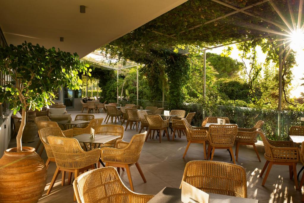 Mediterranee — Restaurant & bars in Lassi, Ionian Islands