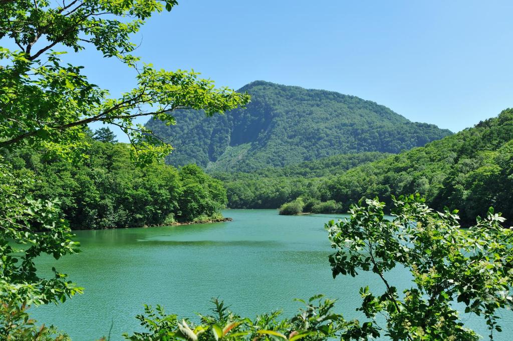 Surrounding environment