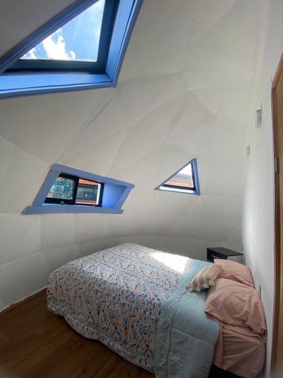 Domo Tiguesitos en Picarte con Parasol - 5