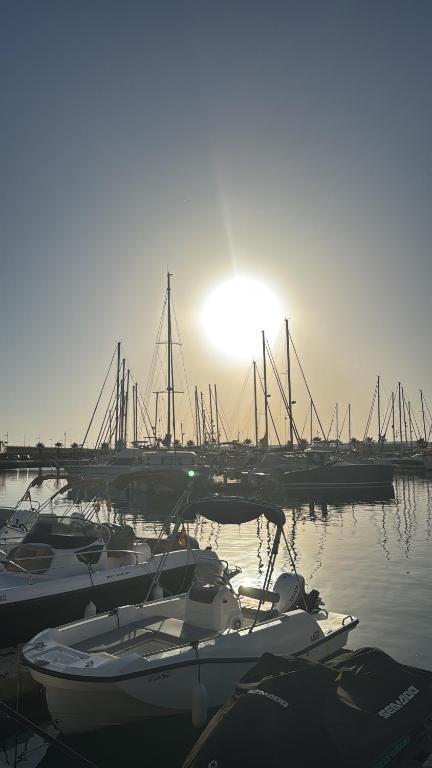 Almuden's green apartment, HIGH-SPEED FREE WIFI, 250m to Beach, The center of Torrevieja - 2