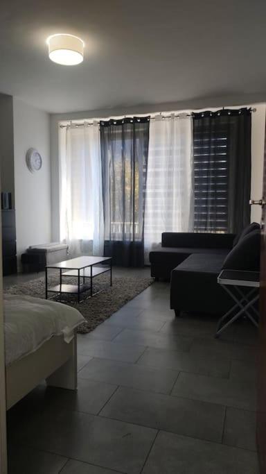 Pleasant Studio ready for you to enjoy, Antverpy