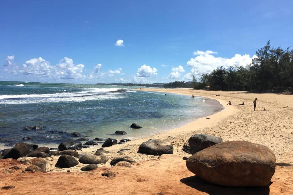 Lucy Fan Ohana, Haiku