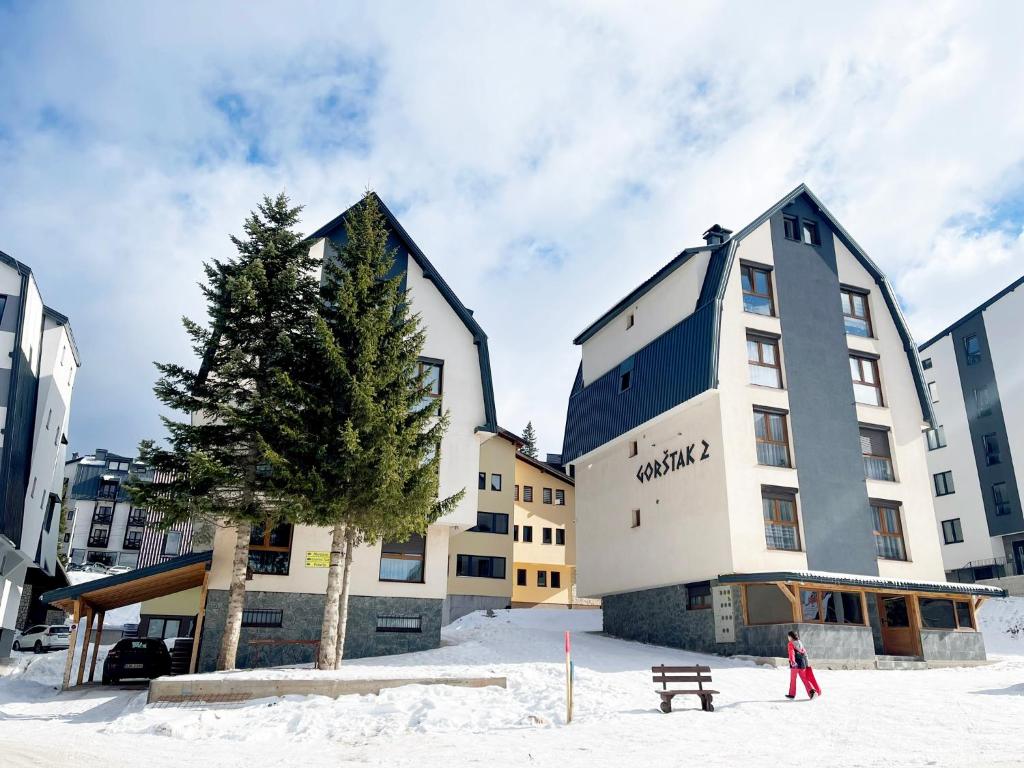 NPL Gorstak - 4