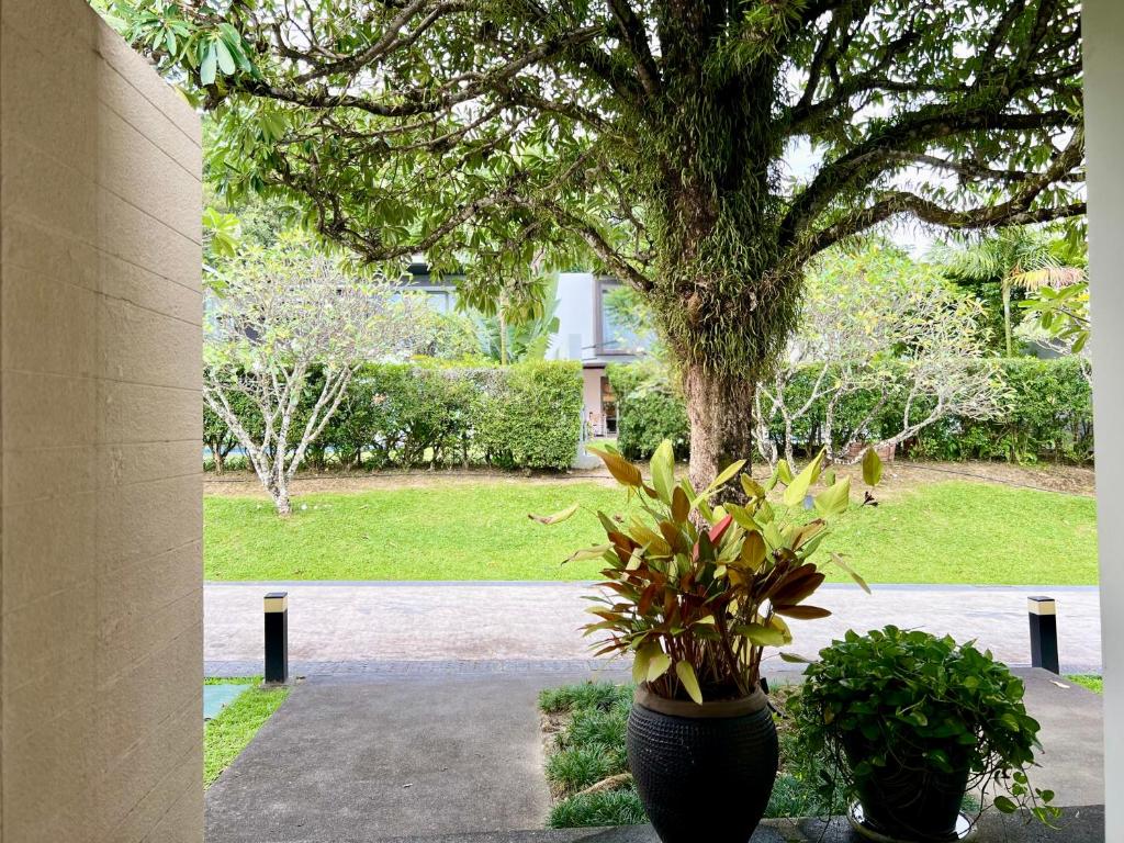 Surrounding environment