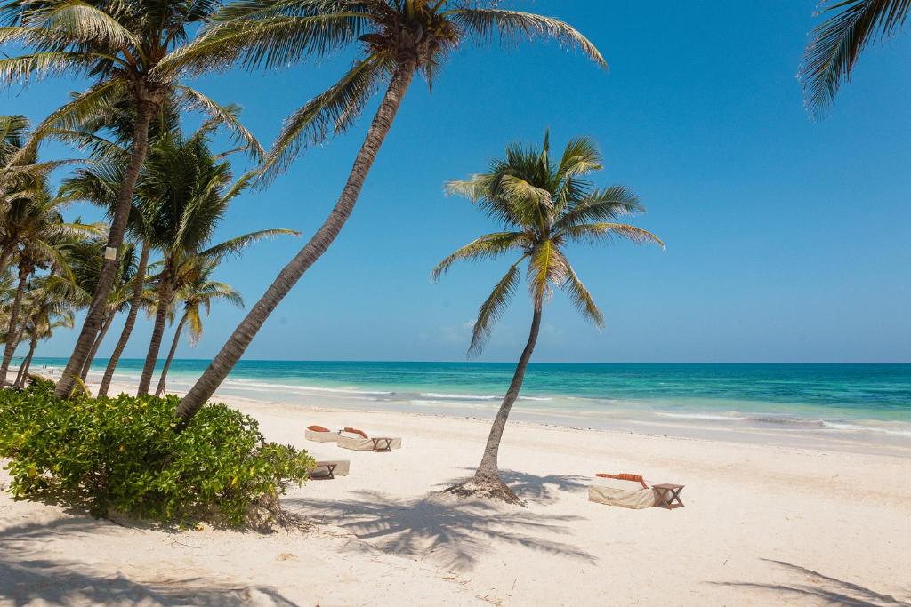 The Beach Tulum Hotel - 2