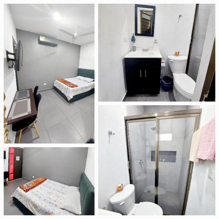 El cedro, Valladolid