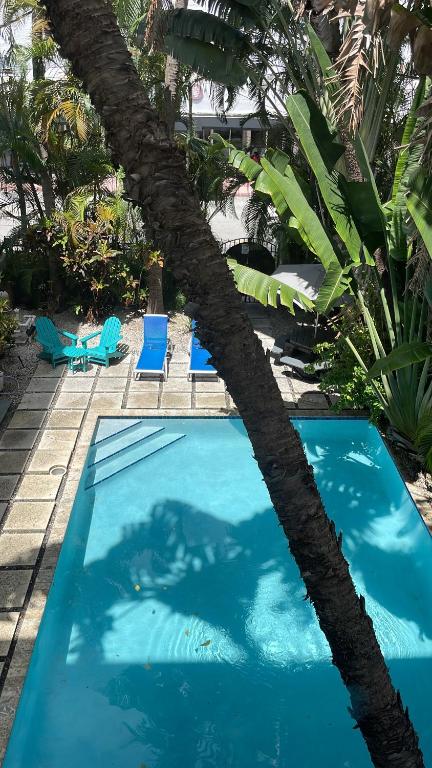 TROPICAL HAVEN POOL & 2BLOCKS TO BEACh, Miami Beach
