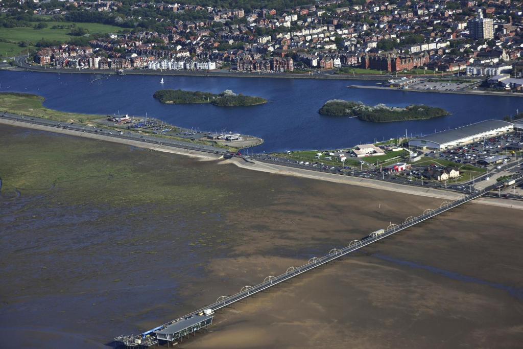 アクティビティ