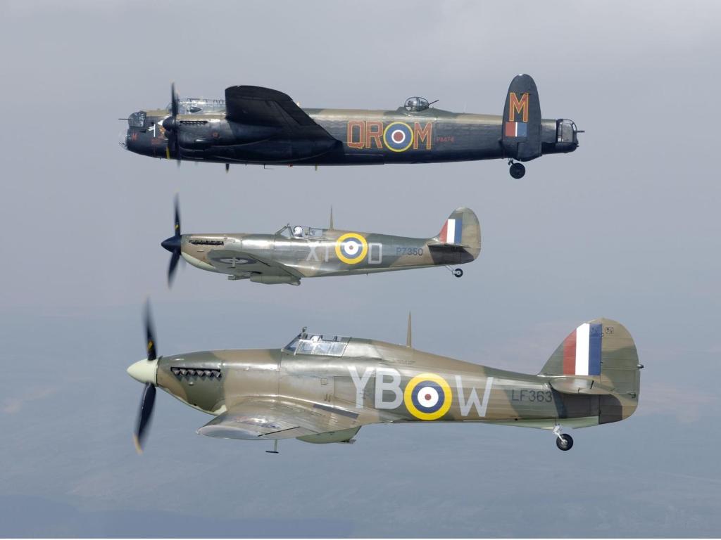 アクティビティ