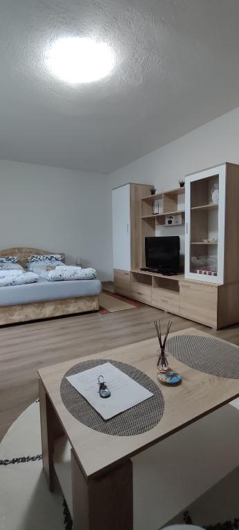 Apartment Hatinac - 4