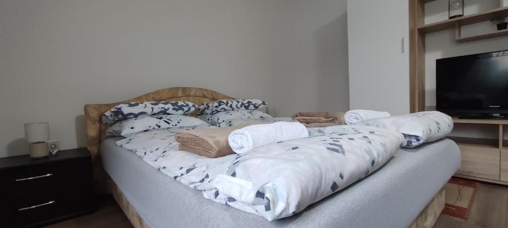 Apartment Hatinac - 3