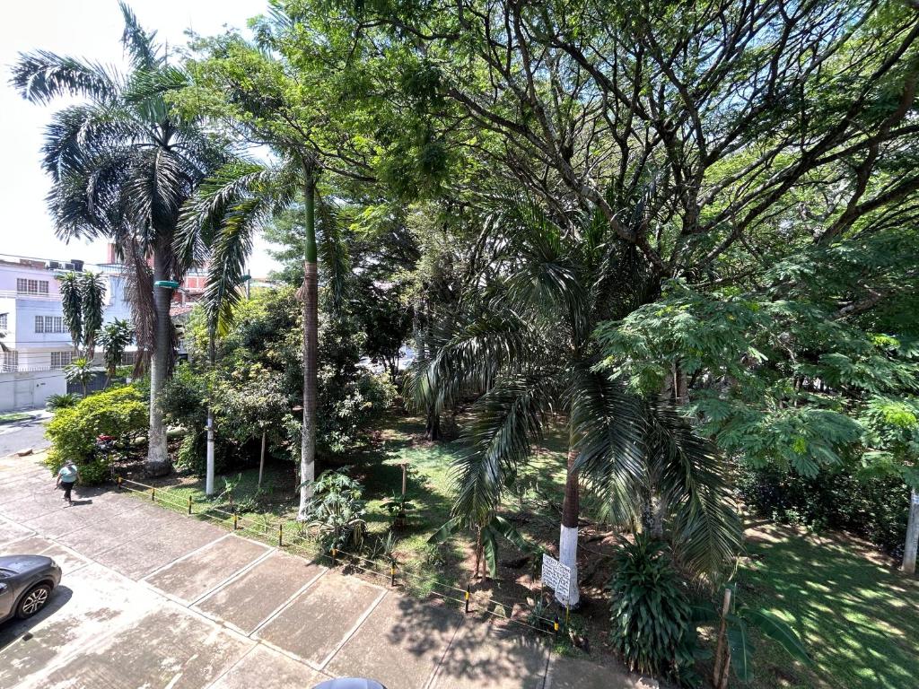 Edificio Arrecife - 5