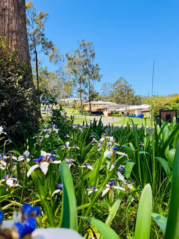 Tranquillity on Point, Port Macquarie