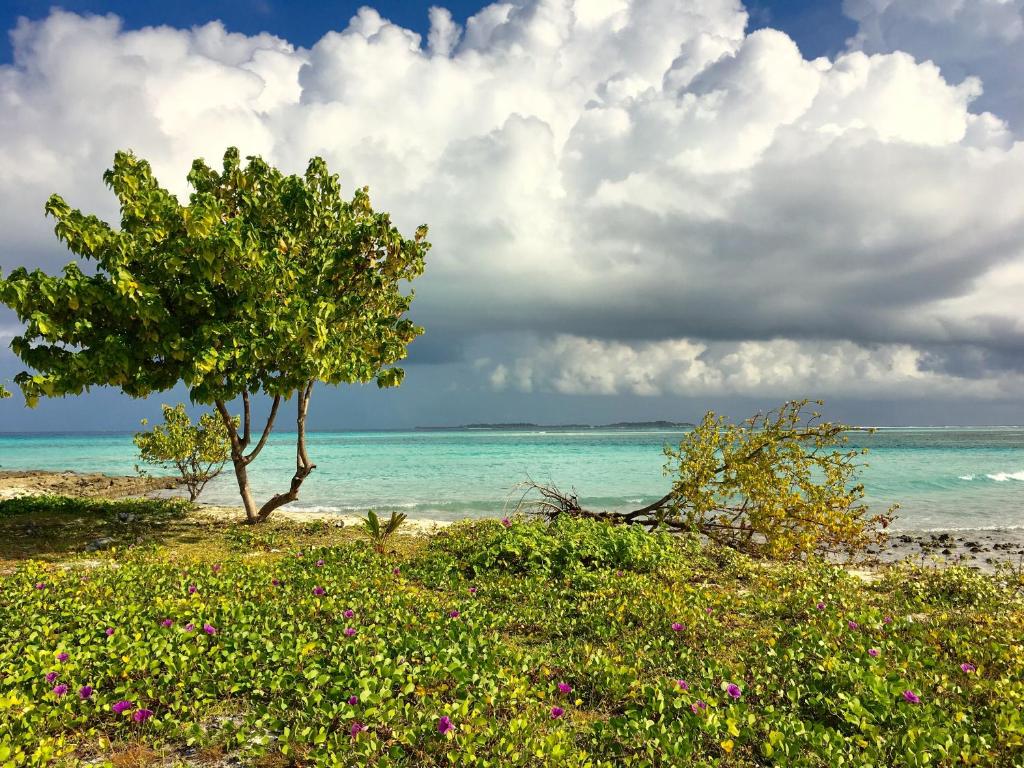 Surrounding environment