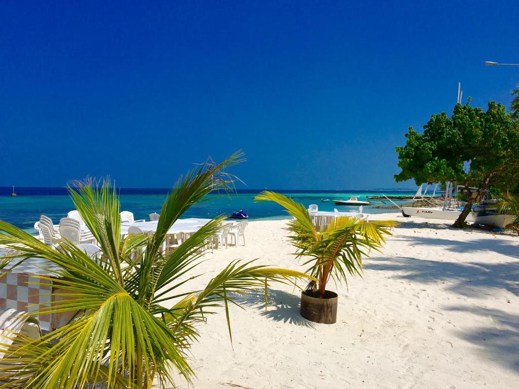 Beach, Maafushi, Faza View Inn in Maldive Islands