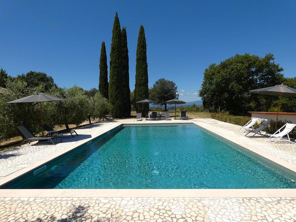 Scappo in Umbria, Casale Fasulo, Vigne