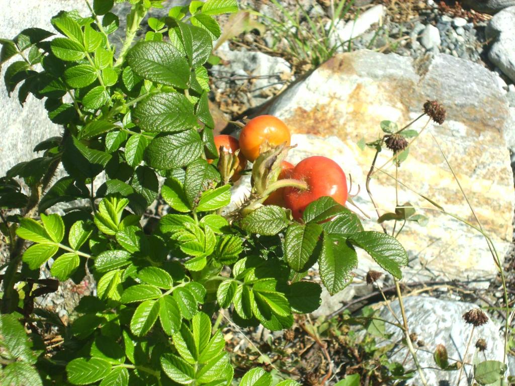 Surrounding environment