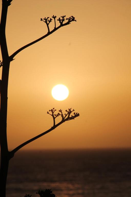 SIDI KaouKI PERLA, Sidi Kaouki