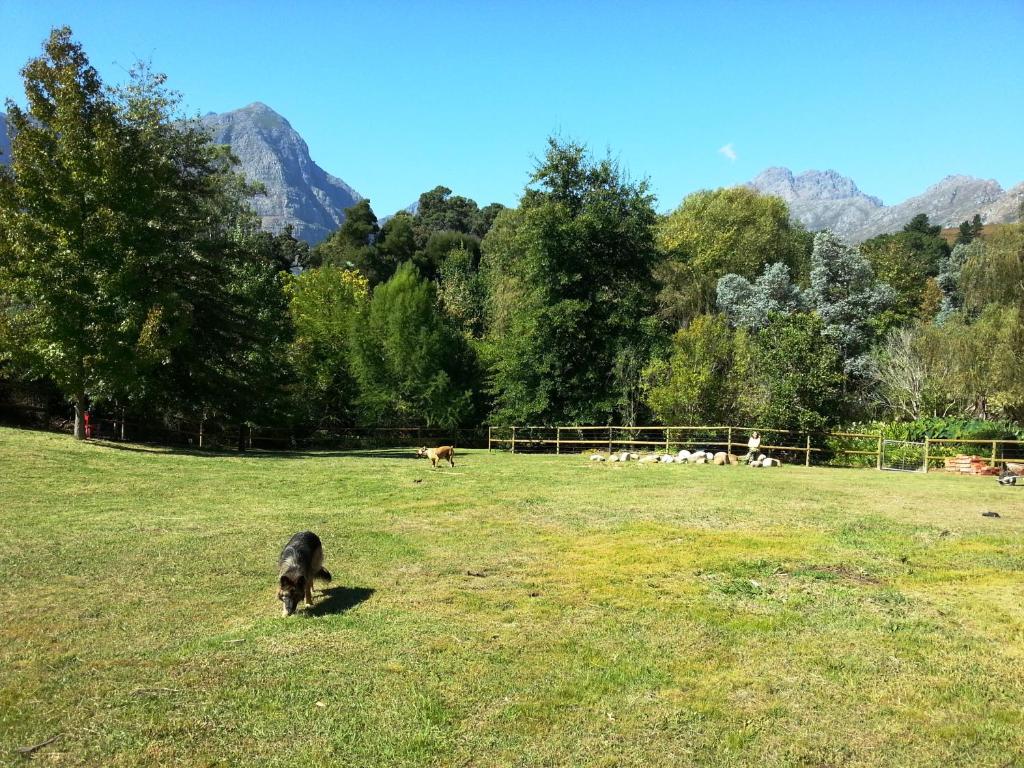 Glasshouse In The Winelands — Hotel in Kylemore
