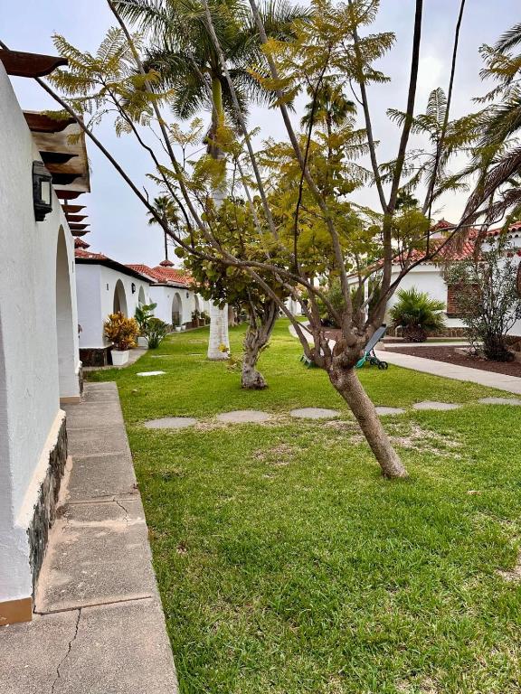 Newly listed and renovated Bungalow in Parque Golf Maspalomas - 4