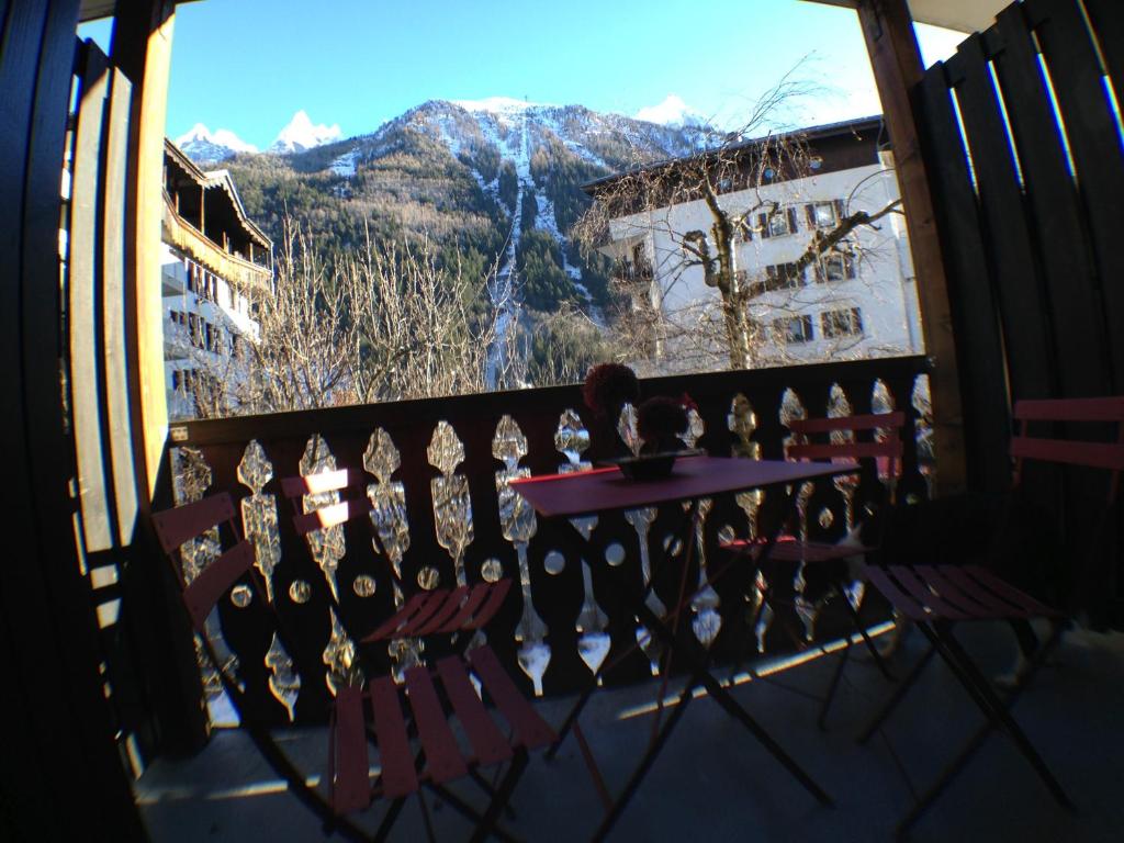 Cosy studio face à l'aiguille du midi, Chamonix-Mont-Blanc