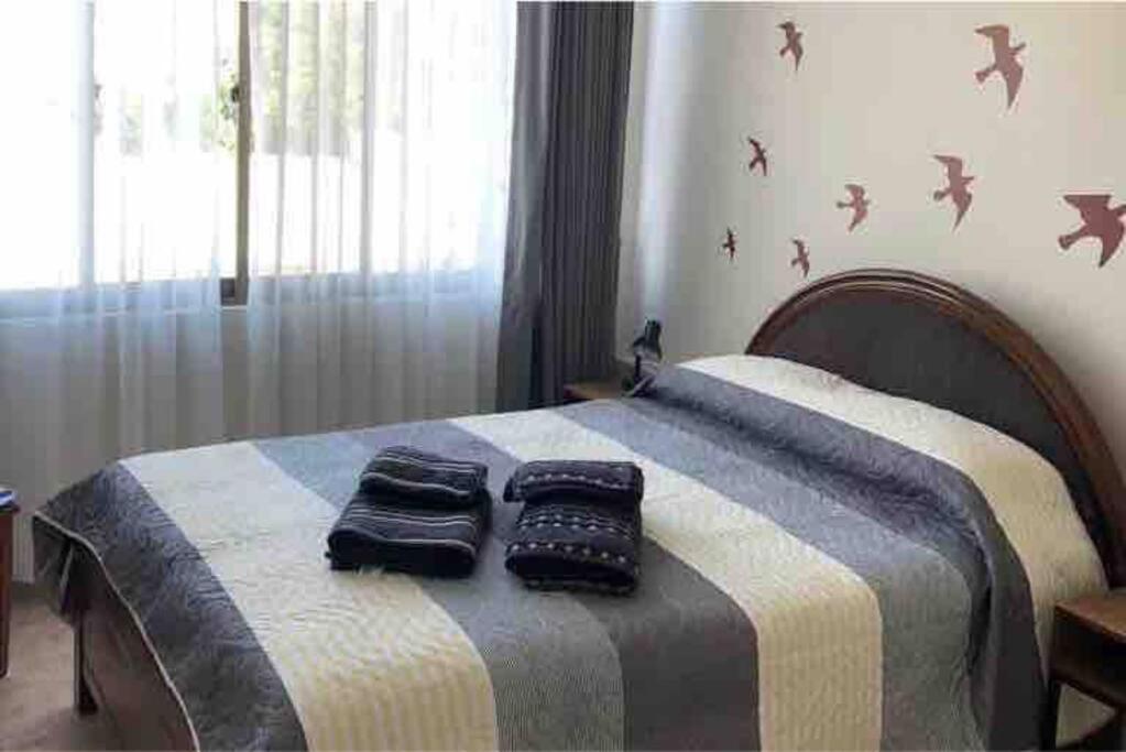 22 Garzonier, Cochabamba