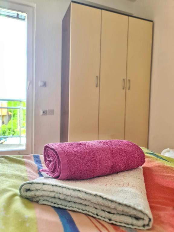 Maja Vujković Apartman 5 - 2
