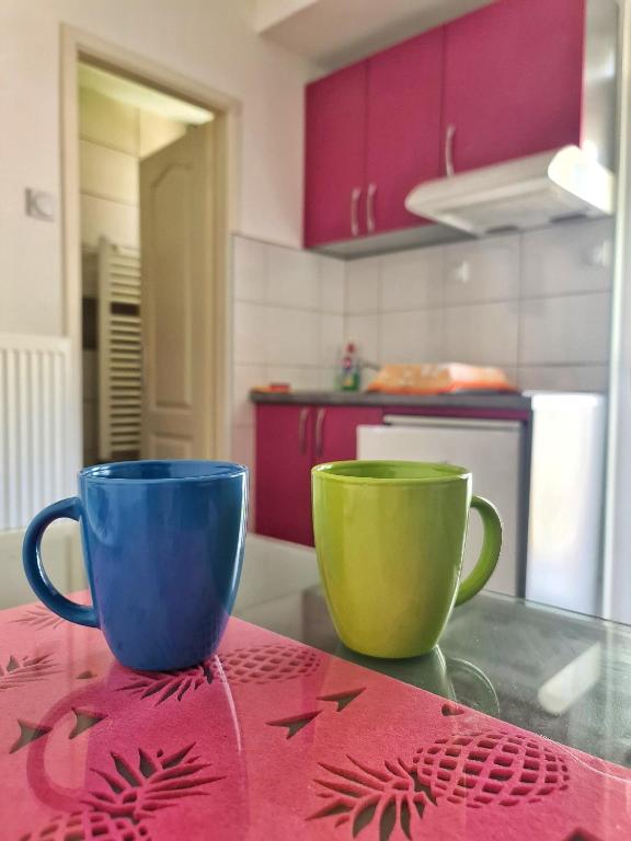 Maja Vujković Apartman 5 - 5