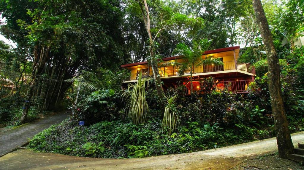 Bali inspired Casa Cascada w Jungle views pool, Quepos