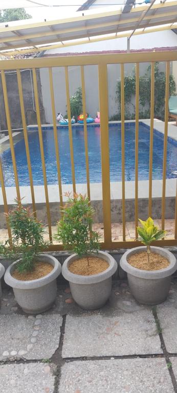 KJ Inn Homestay Senggigi 전경